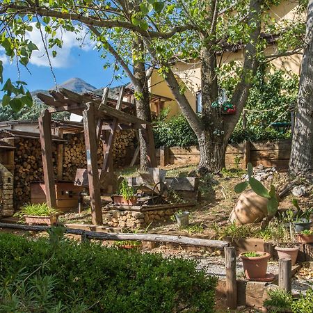 Agriturismo La Locanda Del Parco Морано Калабро Екстериор снимка