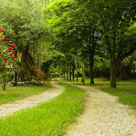 Agriturismo La Locanda Del Parco Морано Калабро Екстериор снимка