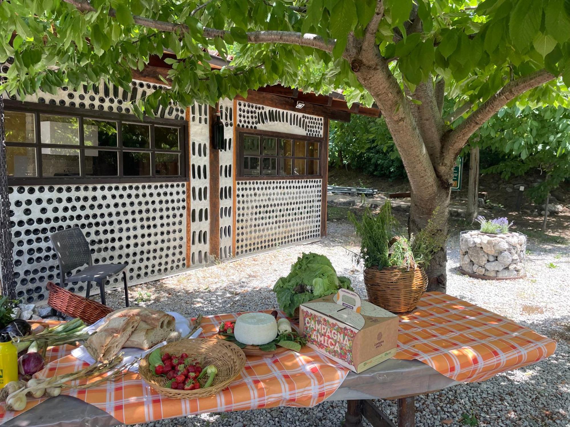 Agriturismo La Locanda Del Parco Морано Калабро Екстериор снимка