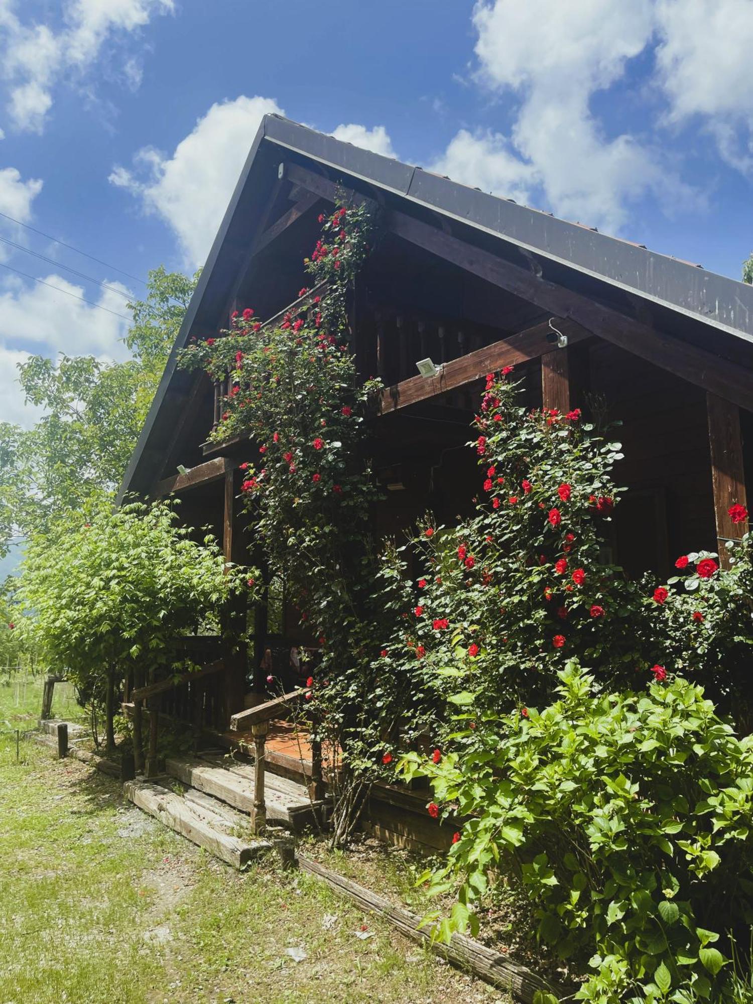 Agriturismo La Locanda Del Parco Морано Калабро Екстериор снимка