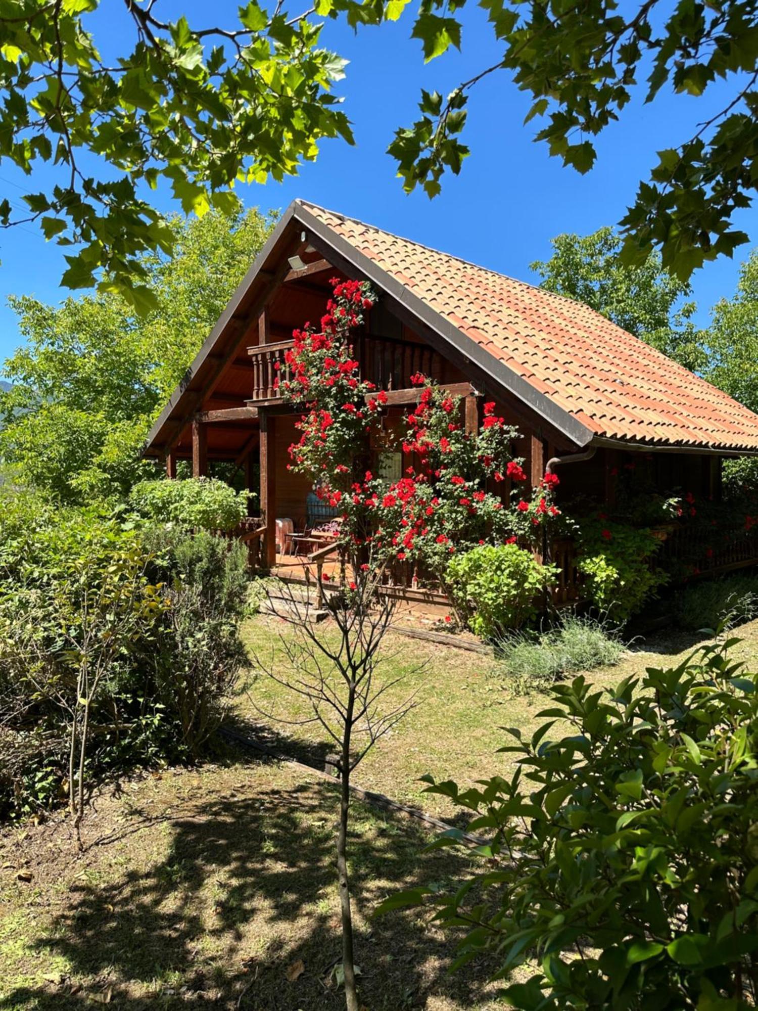 Agriturismo La Locanda Del Parco Морано Калабро Екстериор снимка